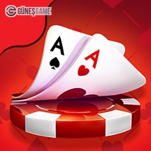 Zynga Chip